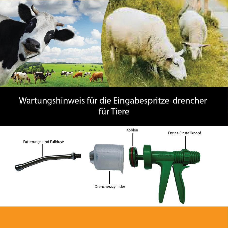 Wartung der Eingabespritze-Drencher für Tiere