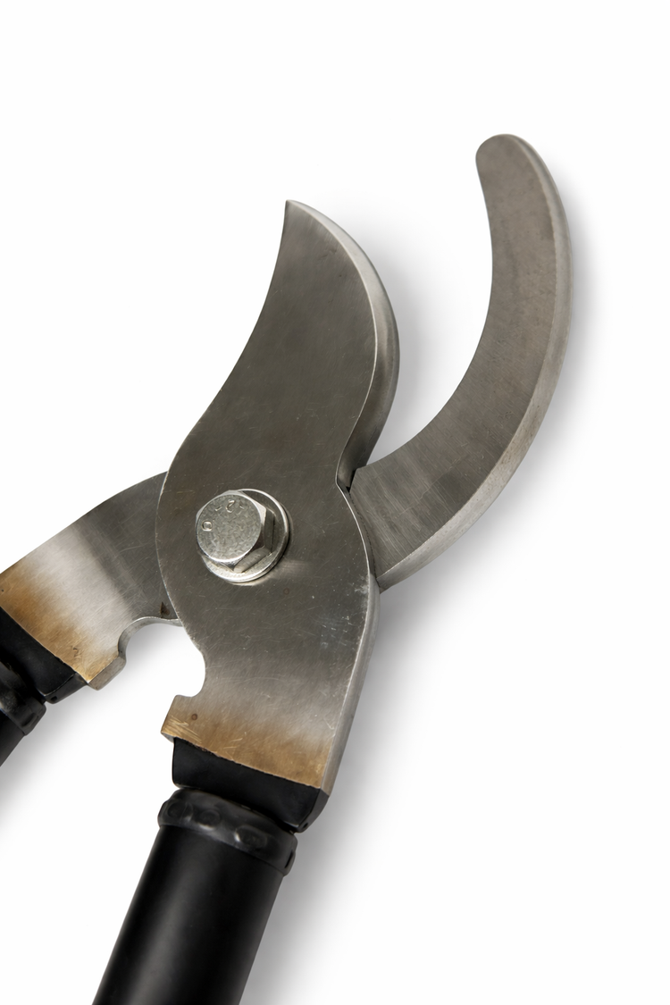 Scharfe Edelstahlklinge einer Hufschere für die professionelle Hufpflege
